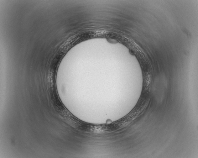 X0000115770565200912111109