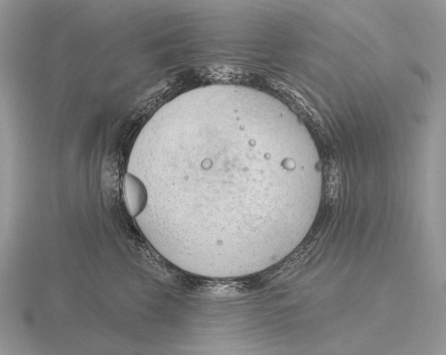 X0000115770569200912111109