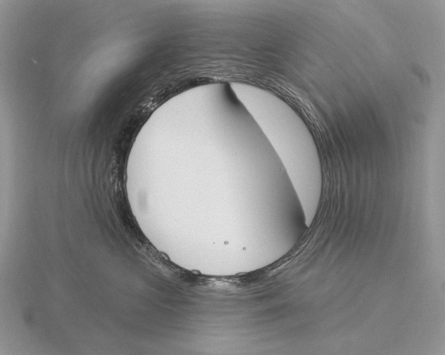 X0000115770573200912111109