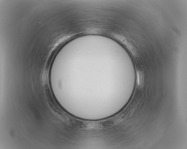 X0000115770579200912111108