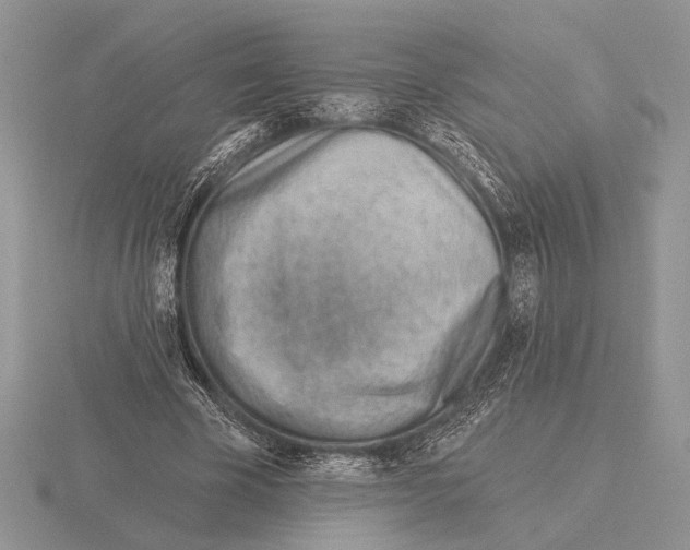 X0000115770585200912111108