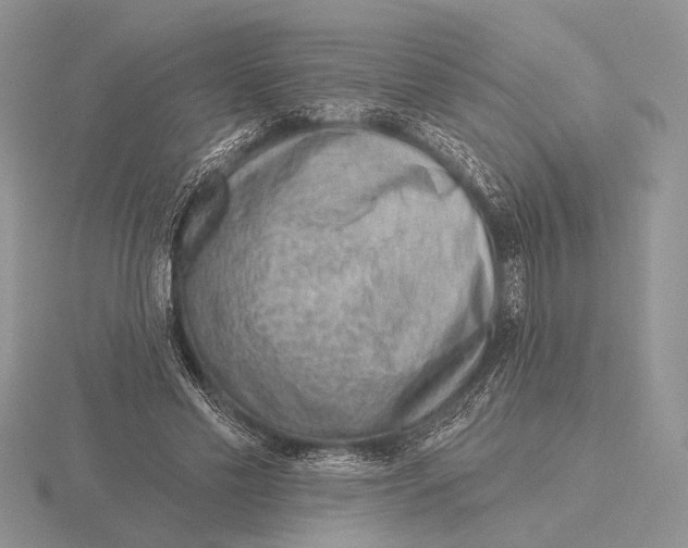 X0000115770589200912111108