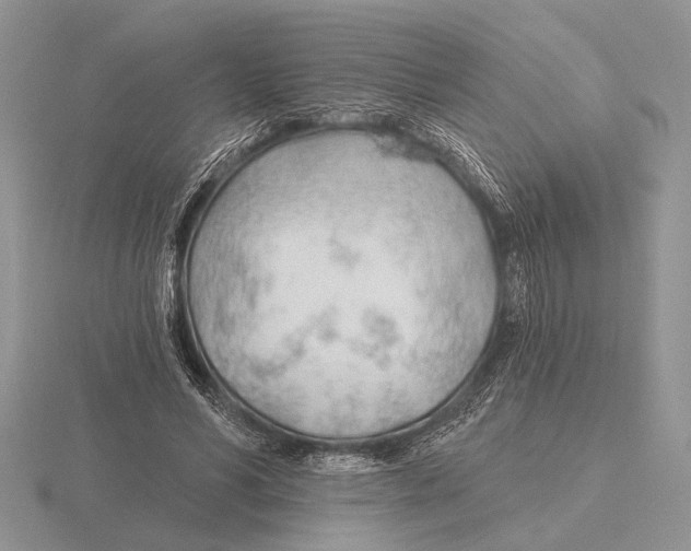 X0000115770590200912111108