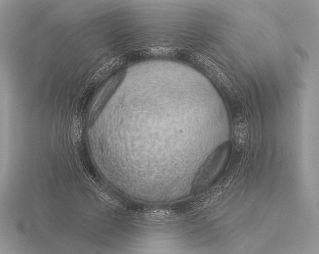 X0000115770593200912111108