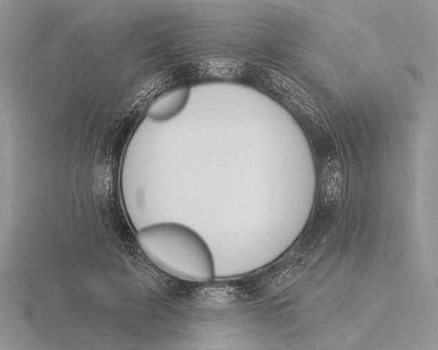 X0000115770595200912111108