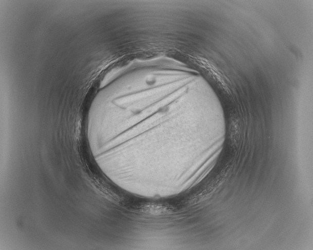 X0000115770596200912111108