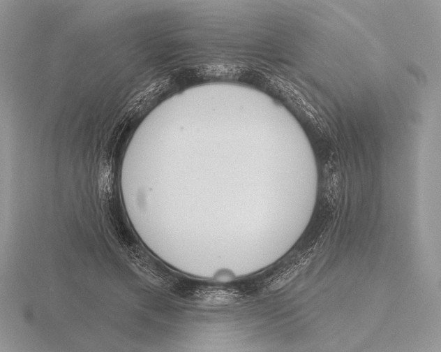 X0000115770597200912111108