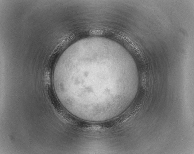 X0000115770598200912111108