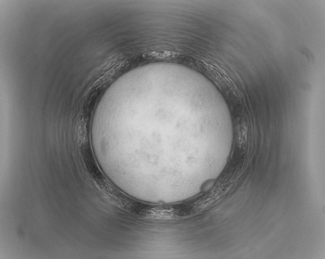 X0000115770606200912111108