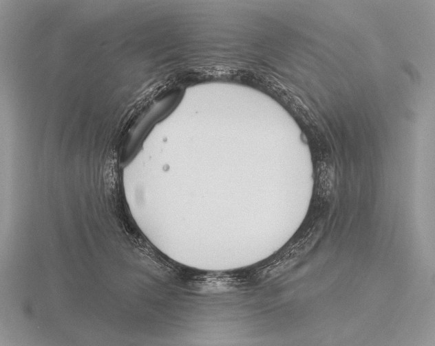 X0000115770612200912111108