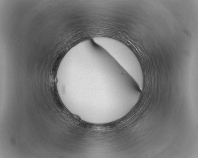 X0000115770613200912111108