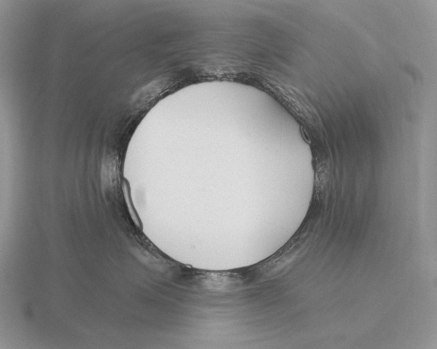 X0000115770623200912111108