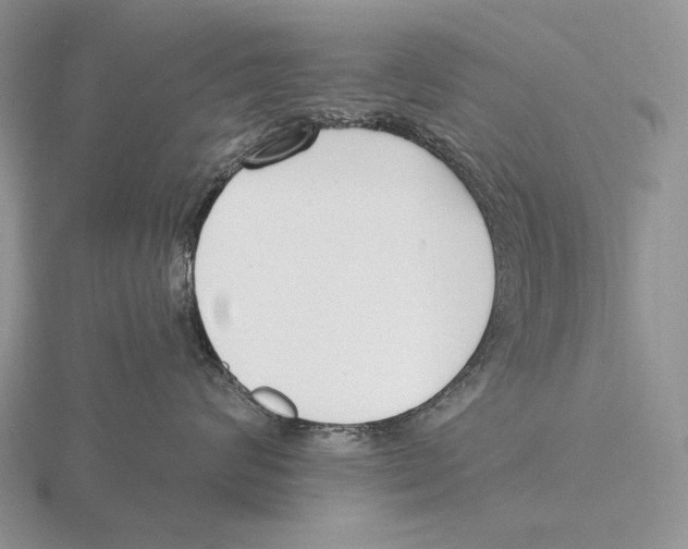 X0000115770624200912111108