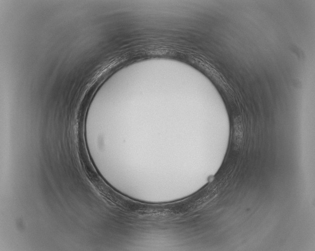 X0000115770626200912111107