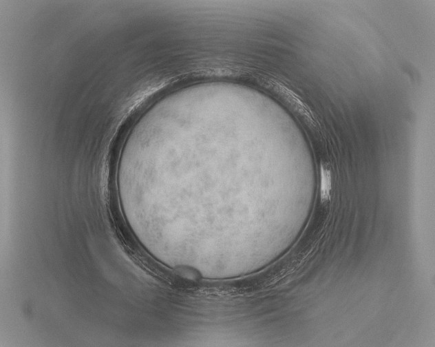 X0000115770627200912111107