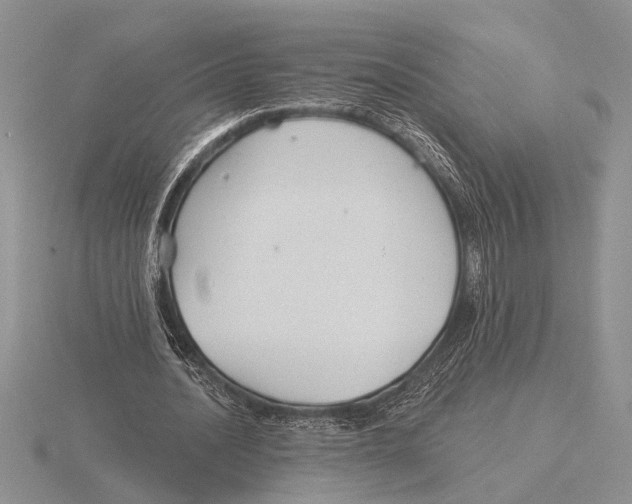 X0000115770628200912111107