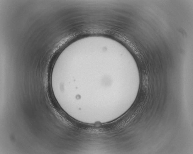 X0000115770629200912111107