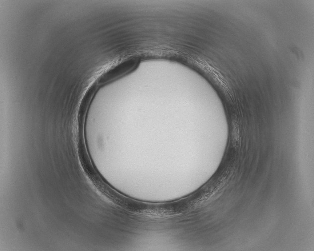 X0000115770630200912111107