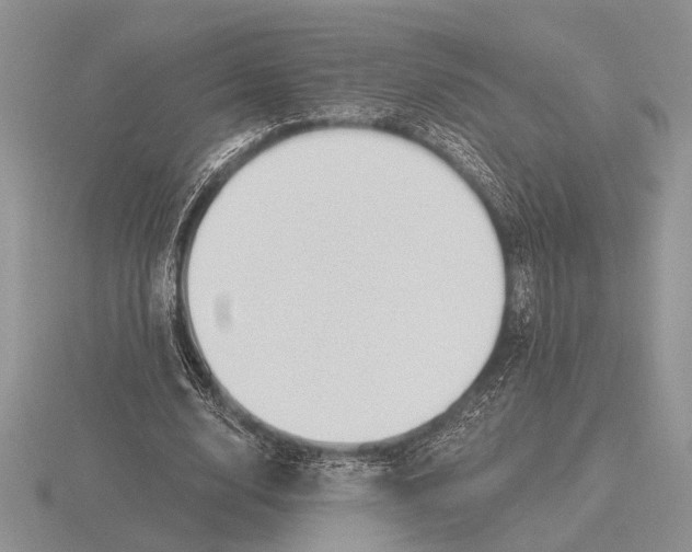 X0000115770632200912111107