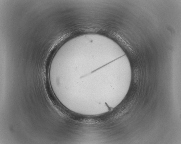 X0000115770634200912111107