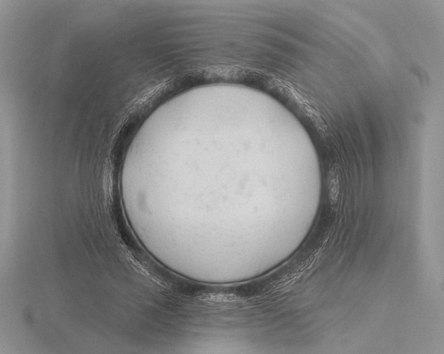 X0000115770637200912111107