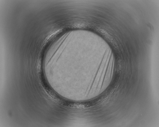 X0000115770640200912111107