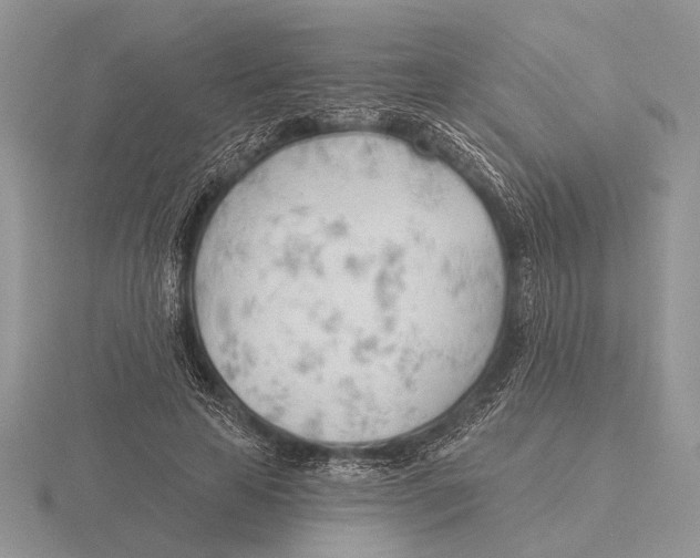 X0000115770641200912111107