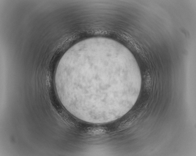 X0000115770643200912111107