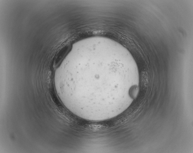 X0000115770650200912111107