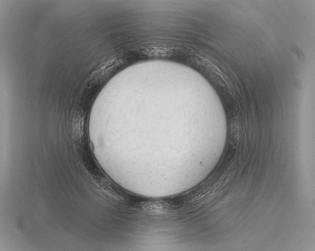 X0000115770652200912111107