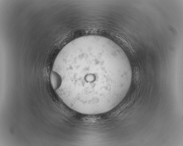 X0000115770661200912111107