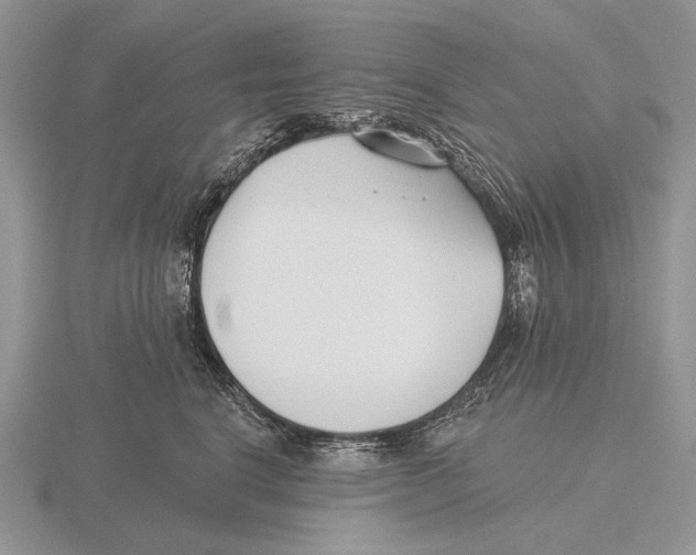 X0000115770664200912111108