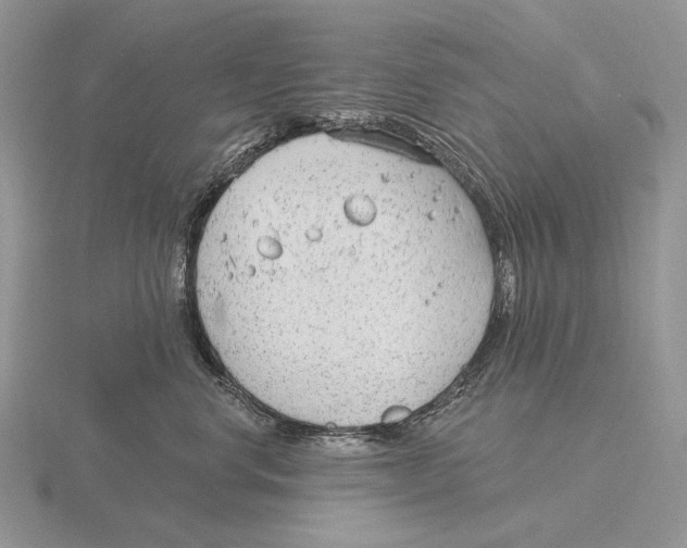 X0000115770668200912111108