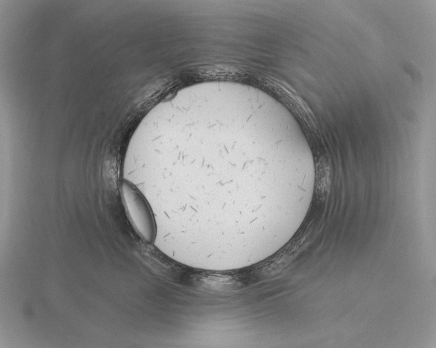 X0000115770669200912111108