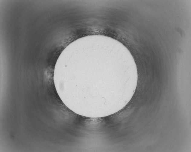 X0000115770672200912111108