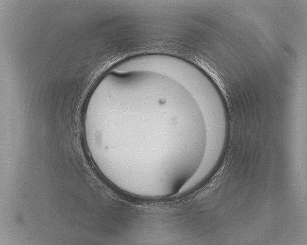 X0000115770673200912111107