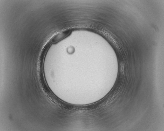 X0000115770676200912111107