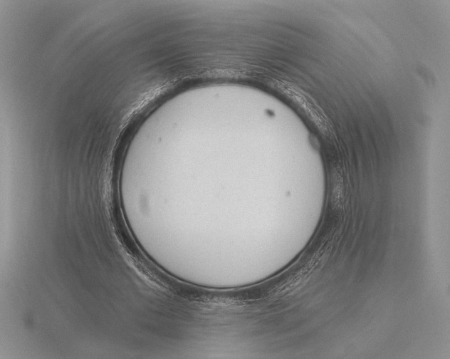 X0000115770677200912111107