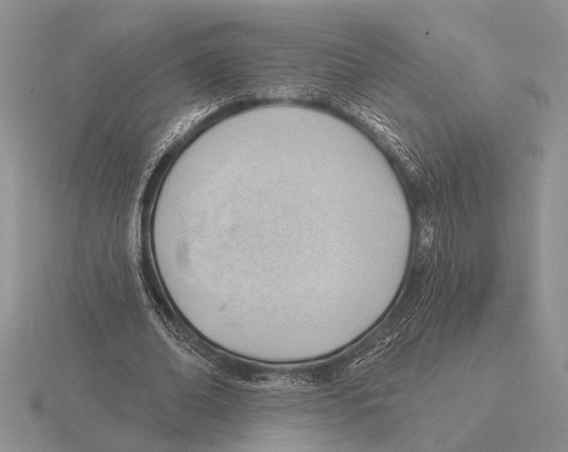 X0000115770678200912111107