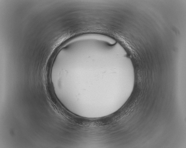 X0000115770679200912111107