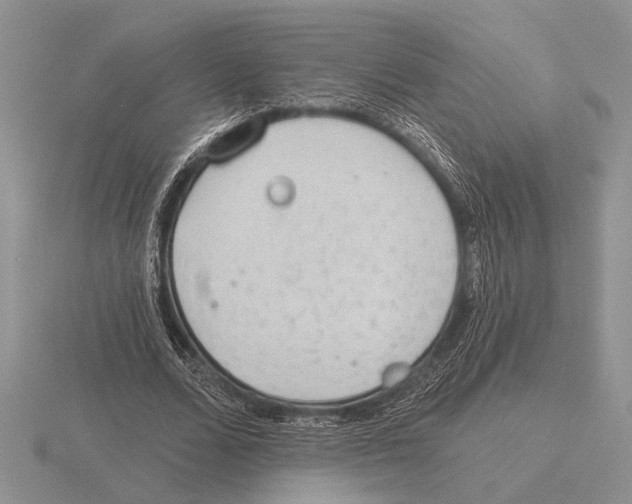 X0000115770680200912111107