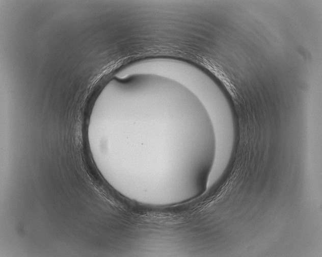 X0000115770681200912111107