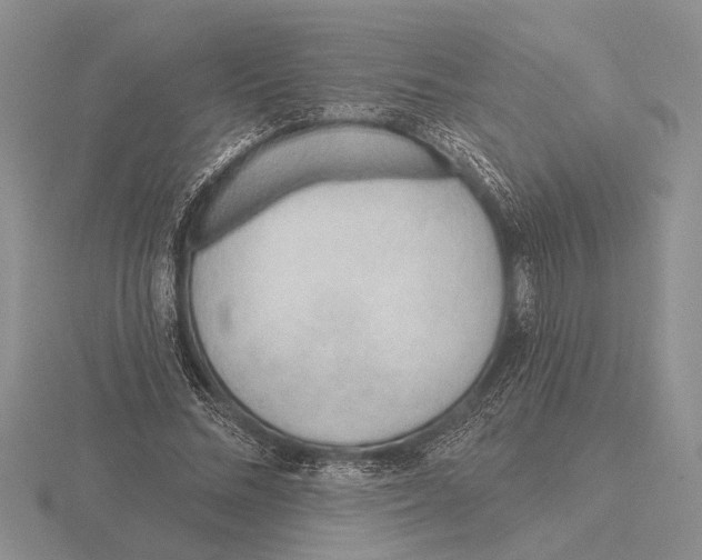 X0000115770684200912111107