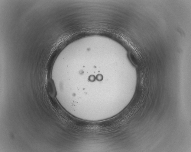 X0000115770685200912111107