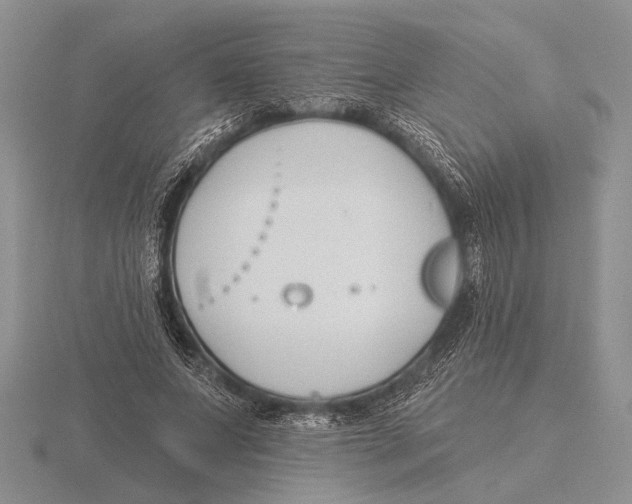 X0000115770687200912111107