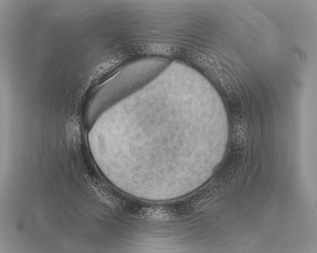 X0000115770688200912111107