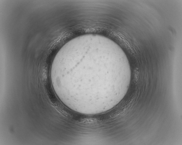 X0000115770691200912111107