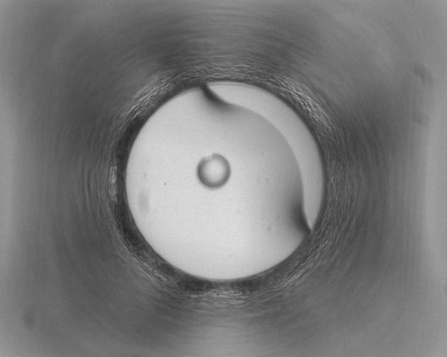 X0000115770696200912111107