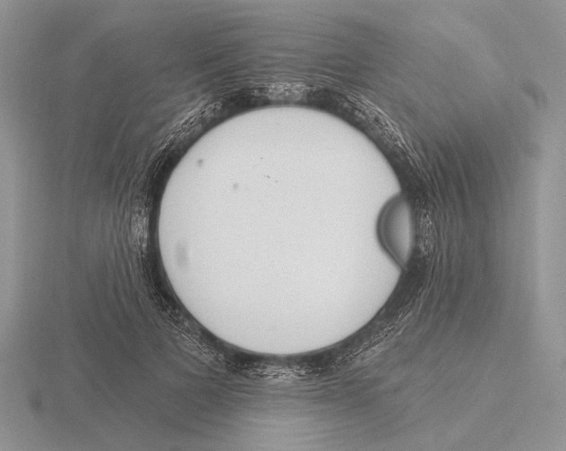 X0000115770697200912111107