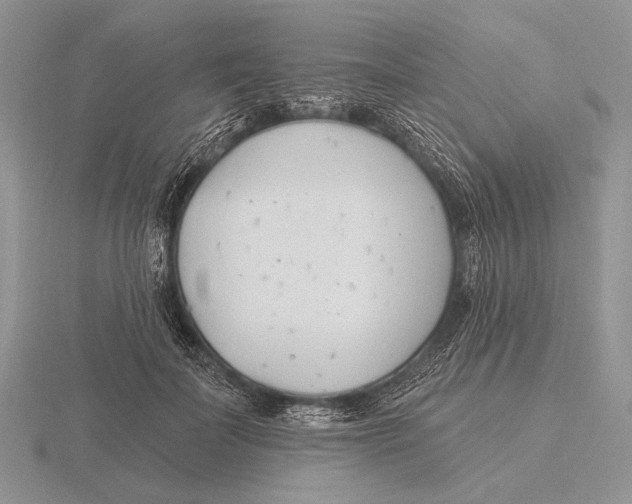 X0000115770699200912111106